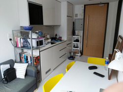 Loft @ Stevens (D10), Apartment #503227141
